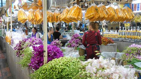 flowers bangkok|thailand flowers and plants.